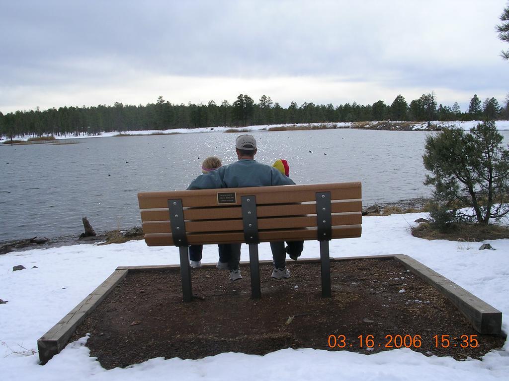 Adair Springs Cabin Pinetop-Lakeside Extérieur photo
