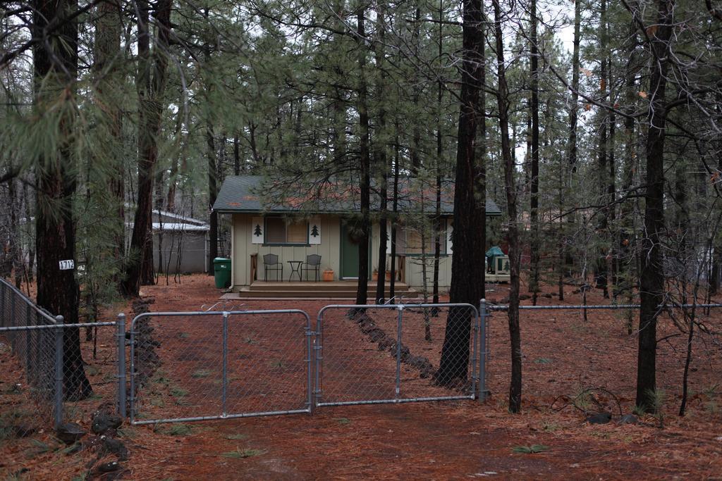 Adair Springs Cabin Pinetop-Lakeside Extérieur photo