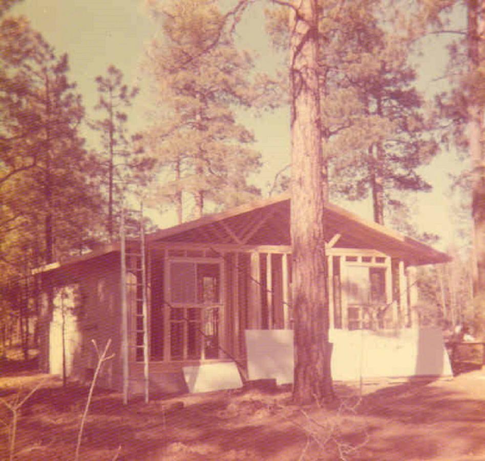 Adair Springs Cabin Pinetop-Lakeside Extérieur photo