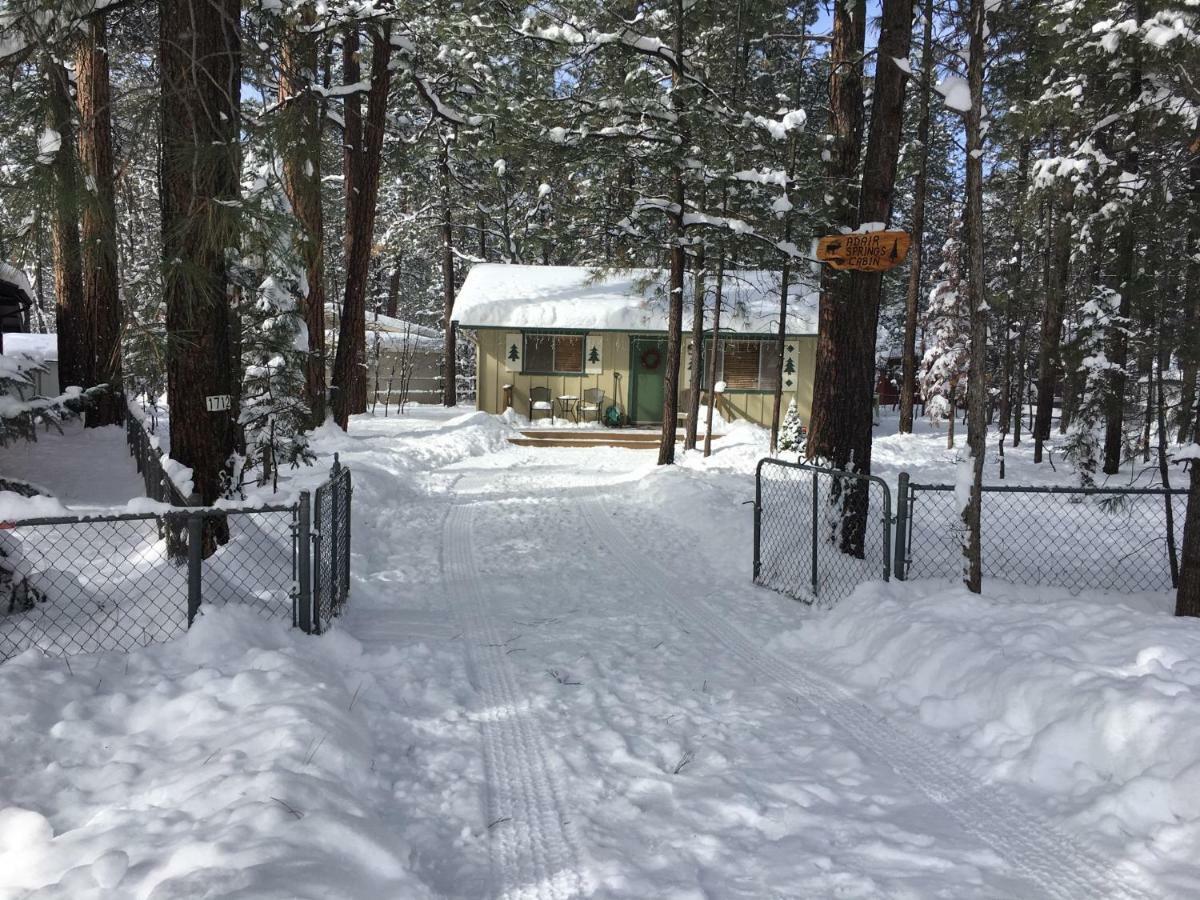 Adair Springs Cabin Pinetop-Lakeside Extérieur photo